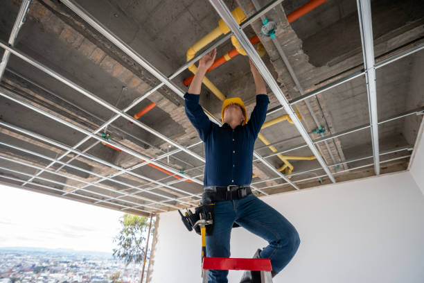 Best Plumbing Services Near Me  in Avon Lake, OH